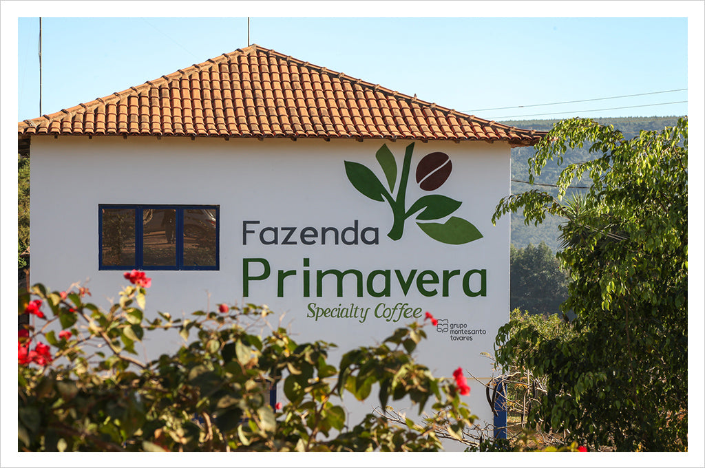 a structure on a coffee farm in brazil with the words Fazenda Primavera