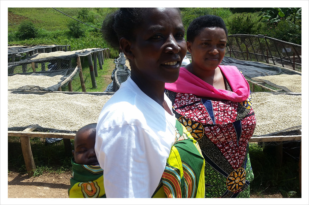 two women in colorful clothing in Rwanda, green coffee beds in background
